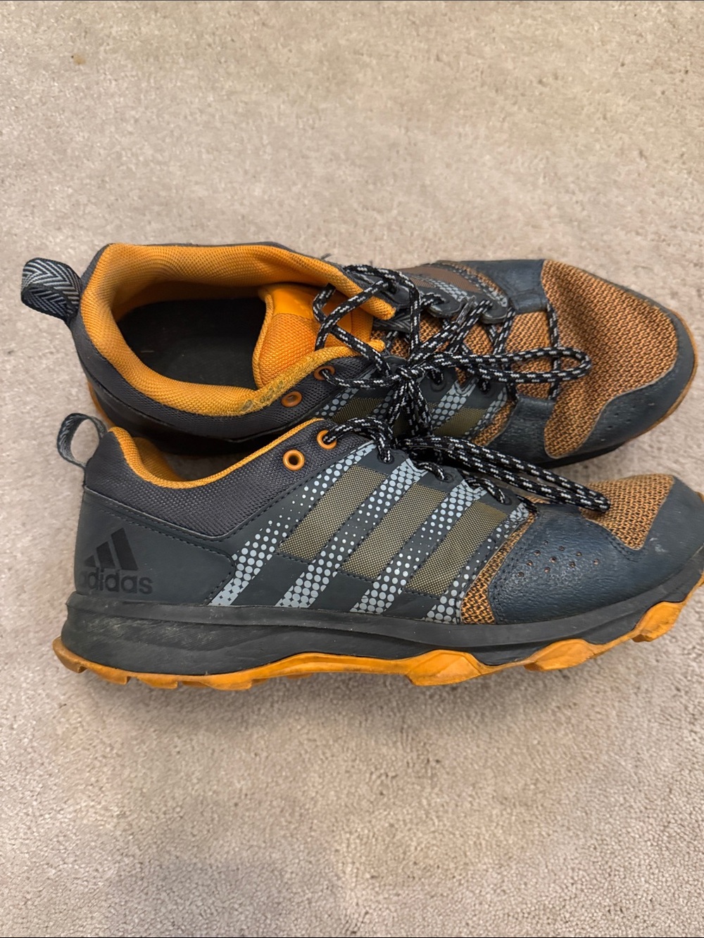 adidas Terrex Daroga Plus size 9
